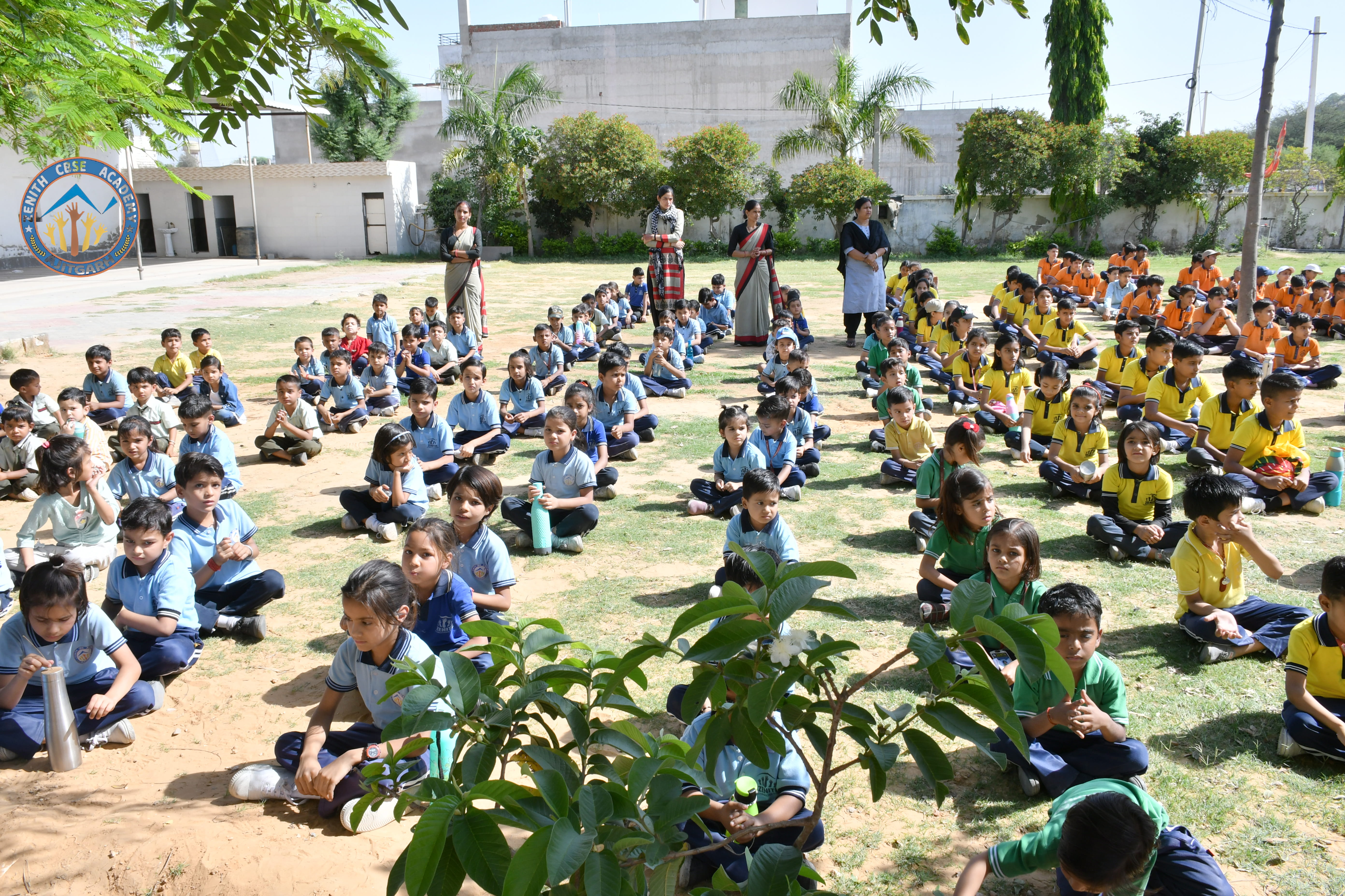 Zenith School Activity 12