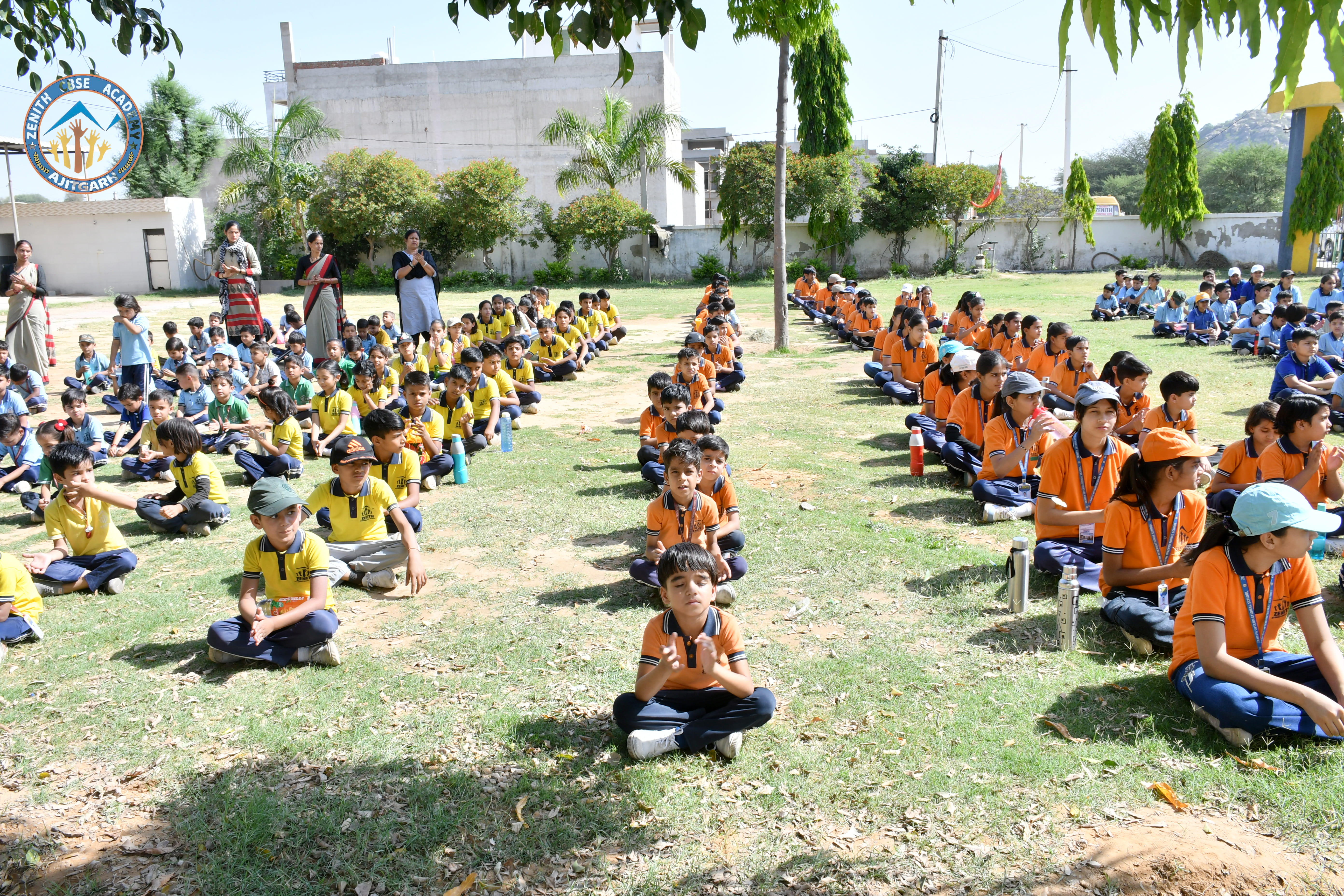 Zenith School Activity 13