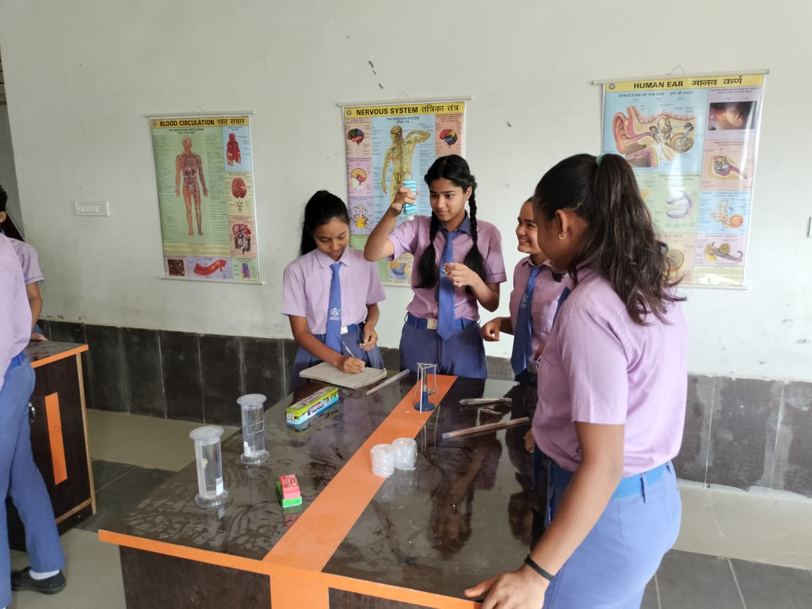 Zenith School Activity 21